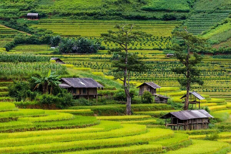 explore-lim-mong-and-lim-thai-villages