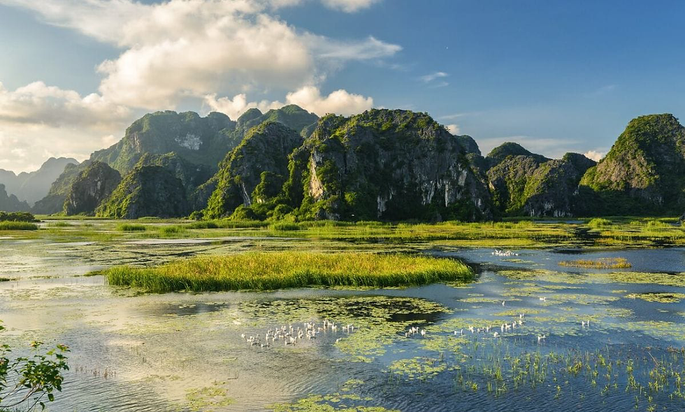 evening-van-long-nature-reserve