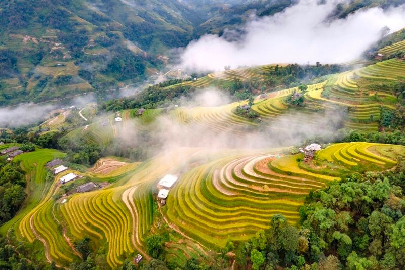 Ha Giang in Summer: A Colorful Escape from June to August