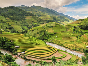 Che Cu Nha Village: The Heart of Mu Cang Chai's rice terraces