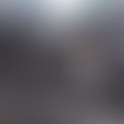 Mean Dog Gets His Last Chance