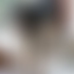 A Huge Dog, Out of Control