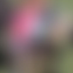 Big Bear Meets His Match