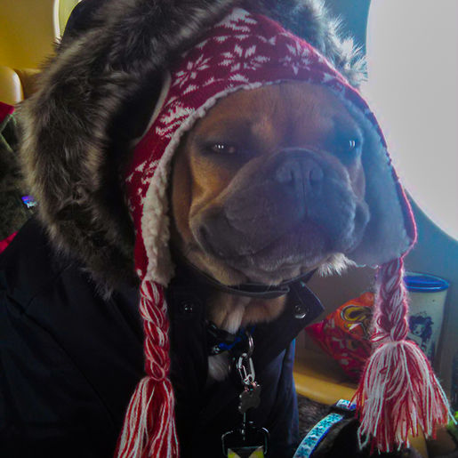 California Beach Boy Meets -24 Degrees