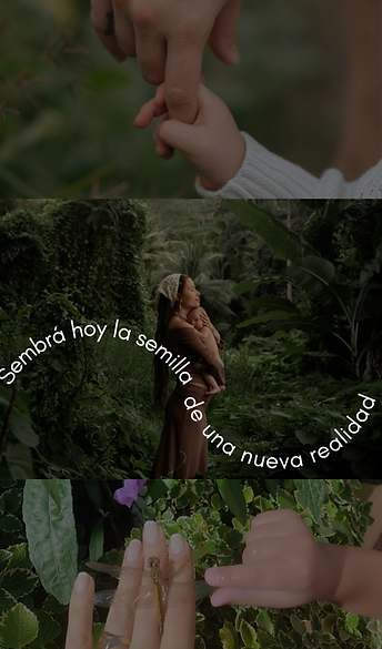 dich (1).png