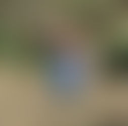 指導者向けWS「土台・収縮・拡張」で極めるバランス指導の教科書