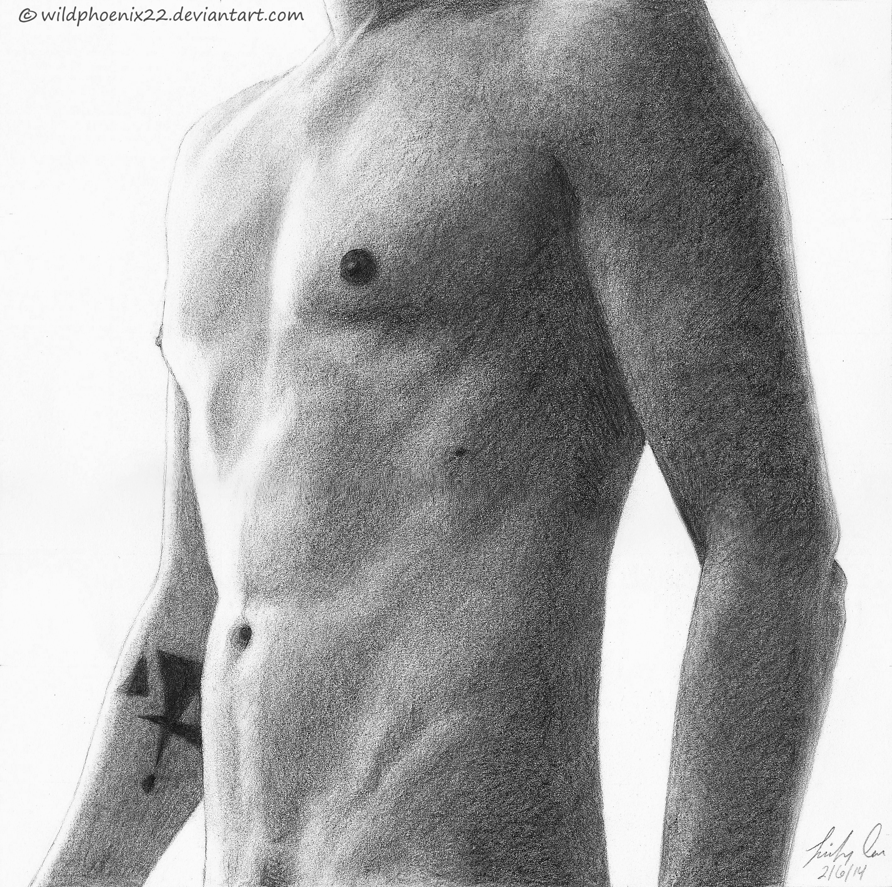 Male Study: Torso