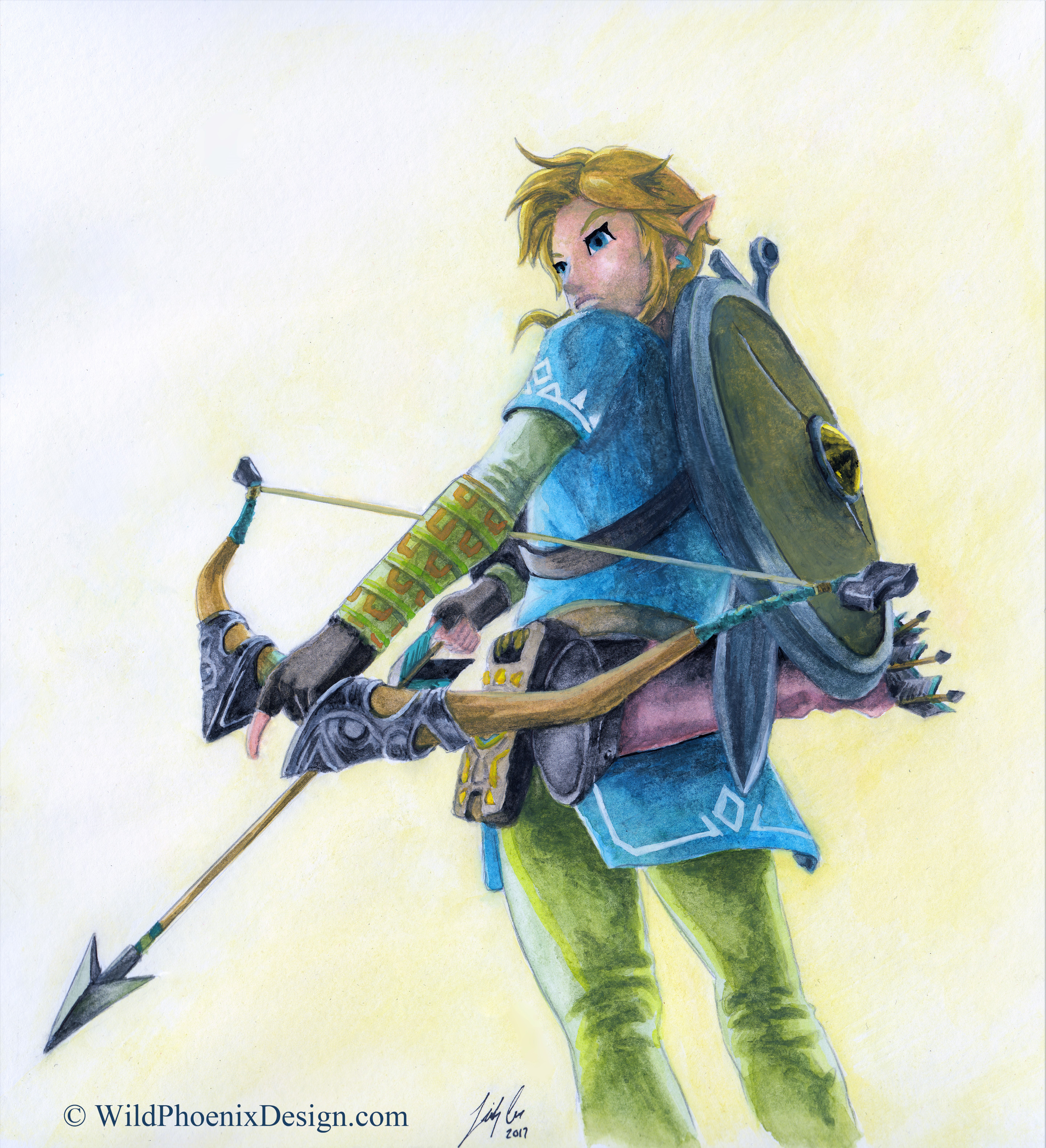 Link of the Wild