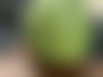 豪雨にも負けず、草やぶにも負けず❣️