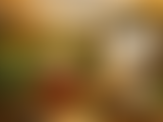 The Health Advantages of Traceable Organic Black Tea Rich in Selenium