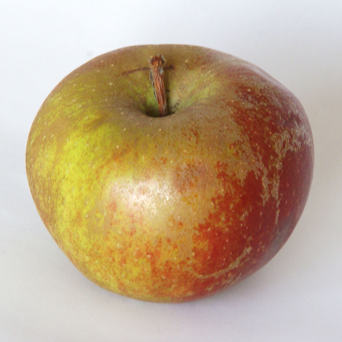 'Belle de Boskoop'