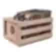 Crosley-Vinyl-Record-Storage-Crate-Turntable-Accessory_f1d35d15-aff4-4ea5-8bda-9e1dede6f61