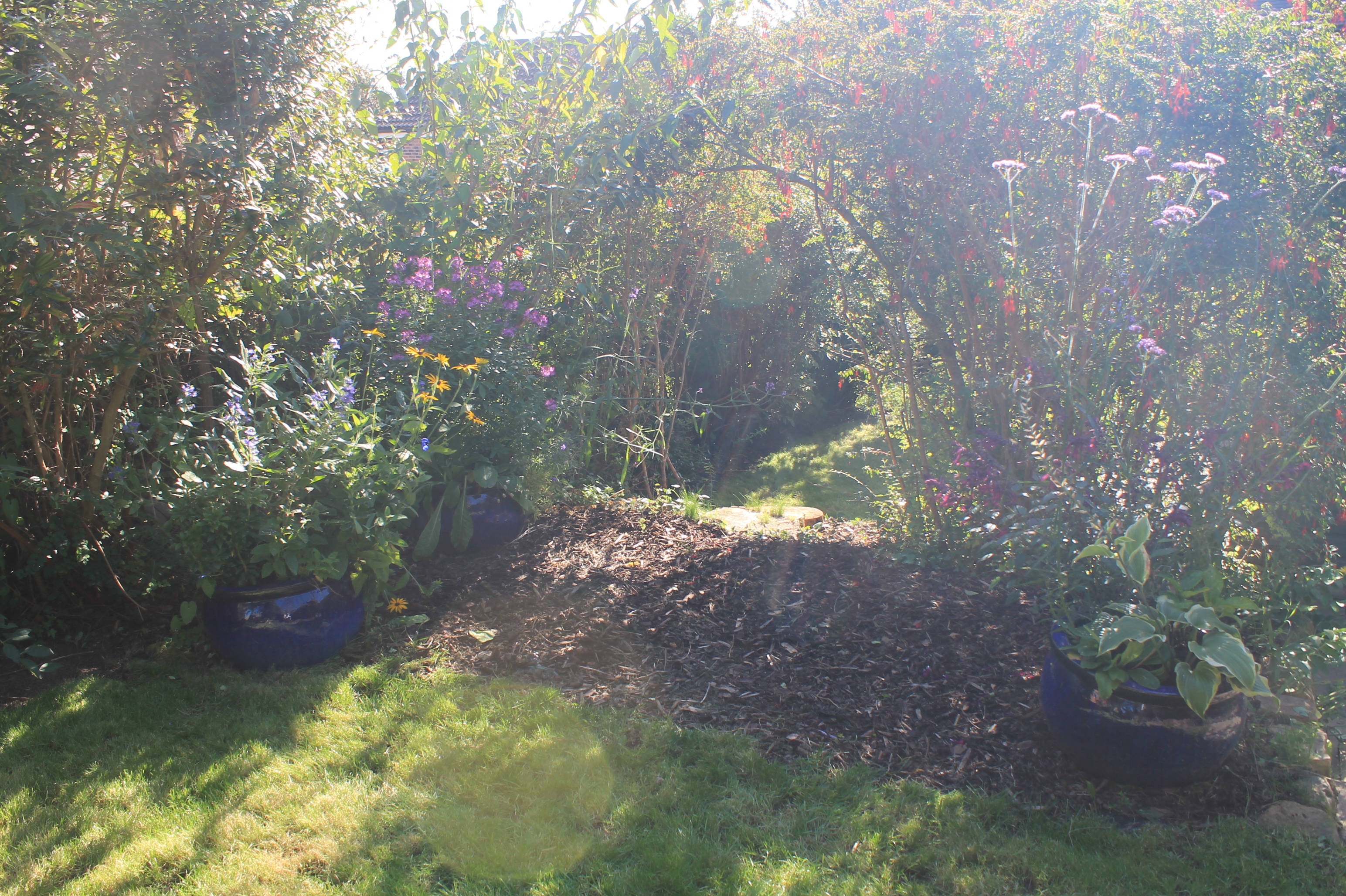 Overgrown Garden Transformation | J.K Conservation