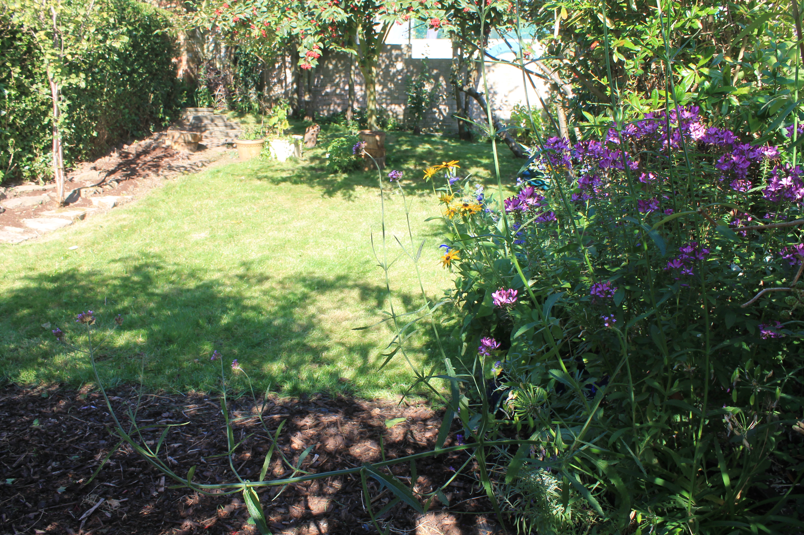 Overgrown Garden Transformation J.K Conservation