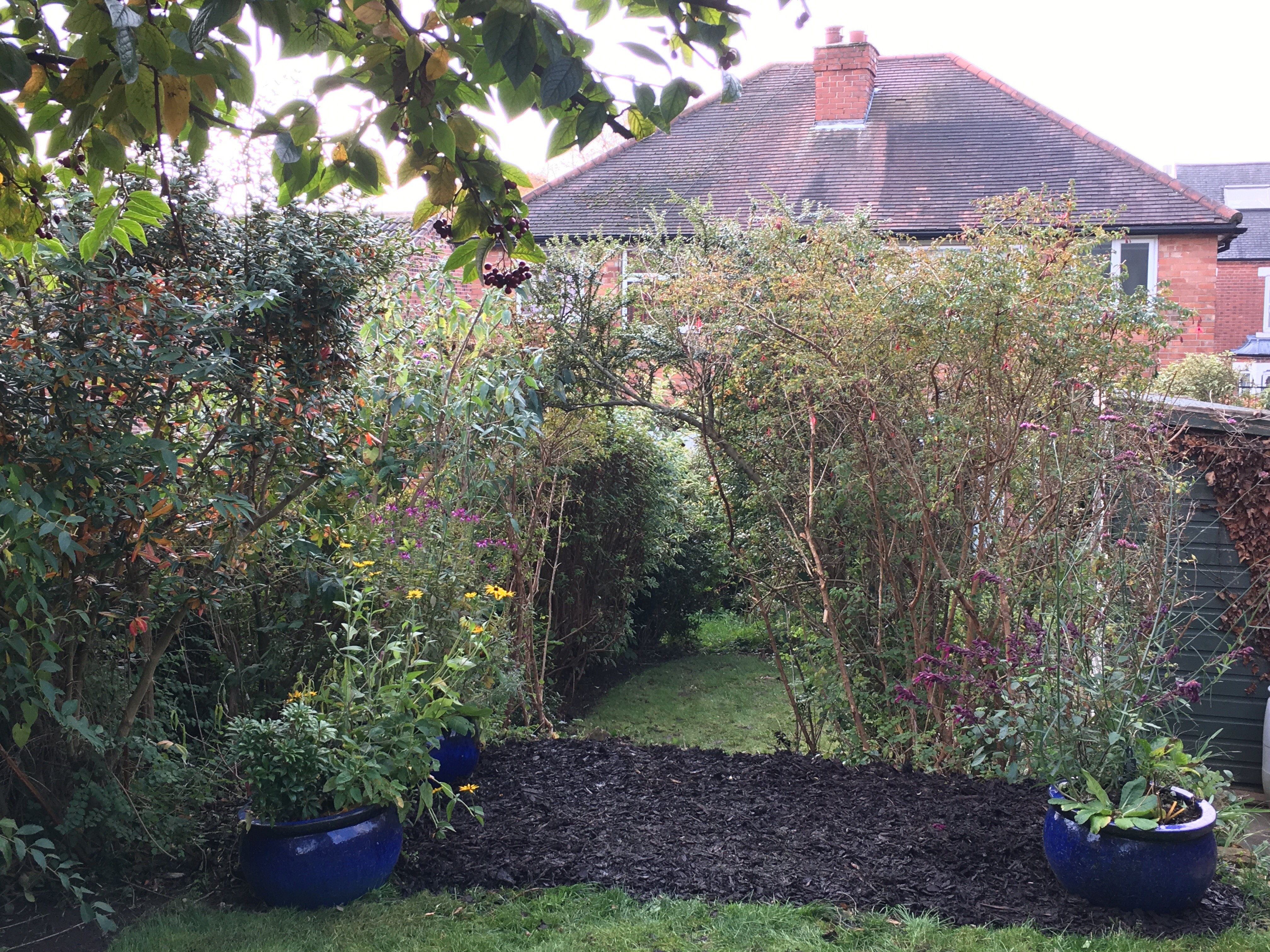 Overgrown Garden Transformation J.K Conservation