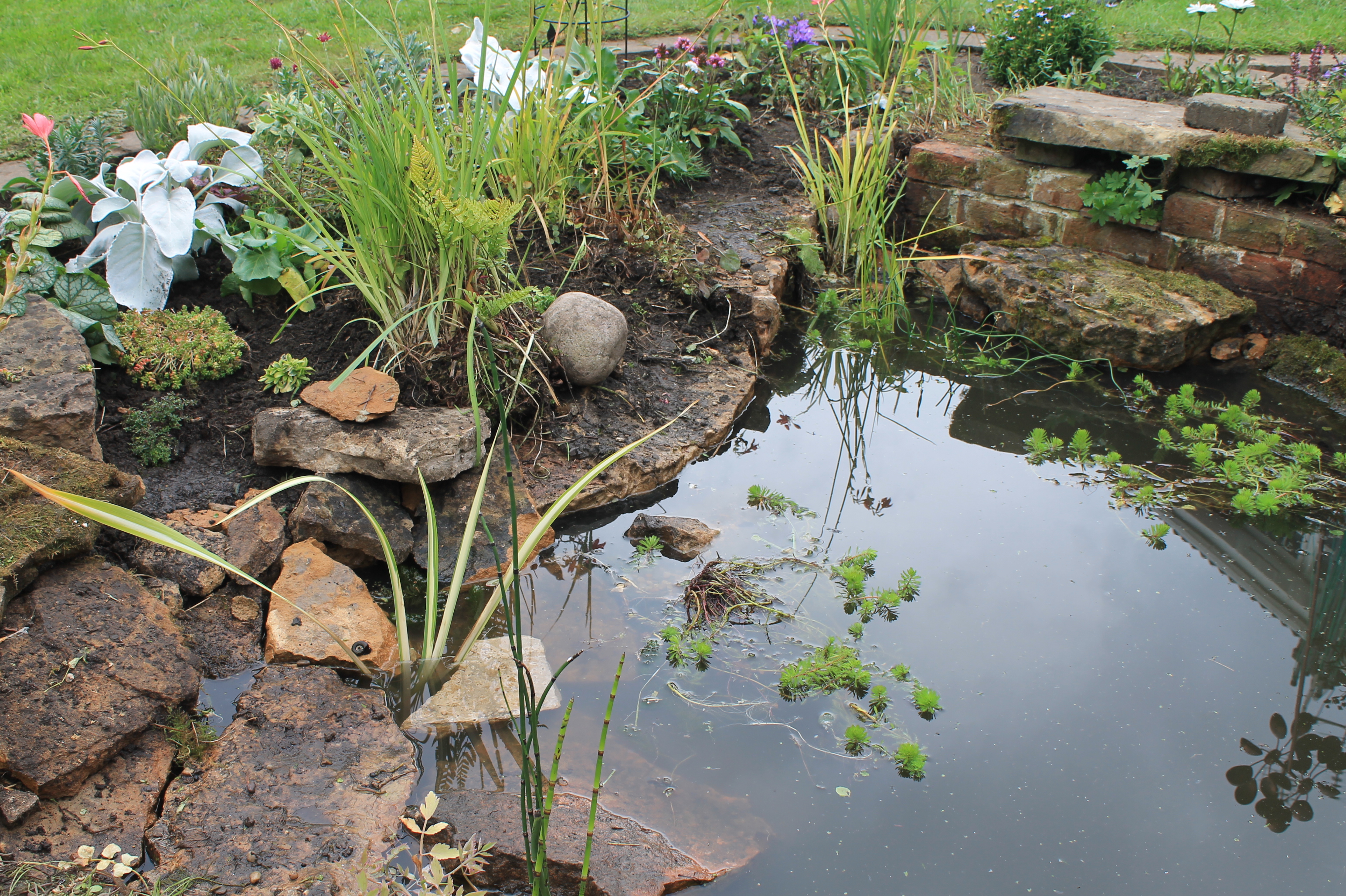 Pond Restoration J.K Conservation