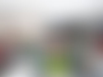 SALITRE INAUGURA COMITÊ POPULAR DE LUTA