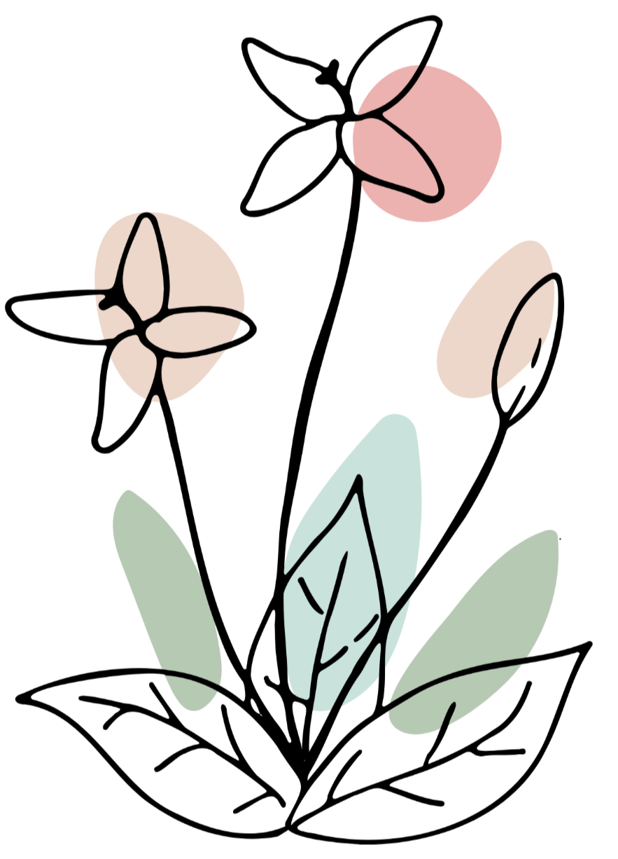 hand draw flower