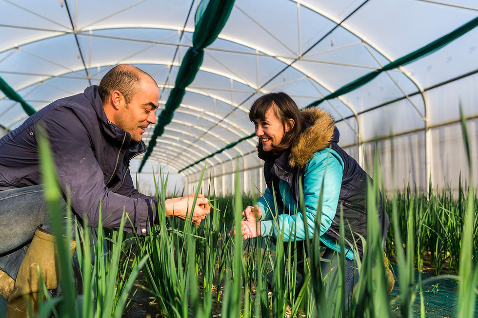 161215Shooting_Agriculture_Serres_12