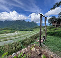 IMG_9525.jpeg