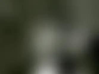 Amos Poe, 1949 – 2025