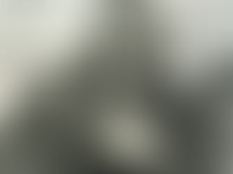 Woody King, Jr., 1937 – 2026