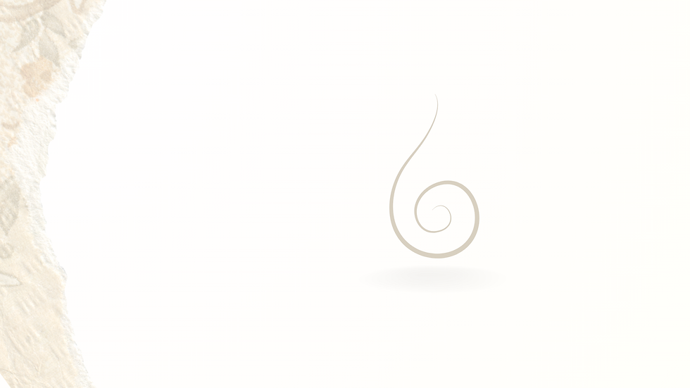 CONCEITO horizontal (3).png