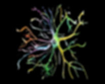Neuronito.jpeg