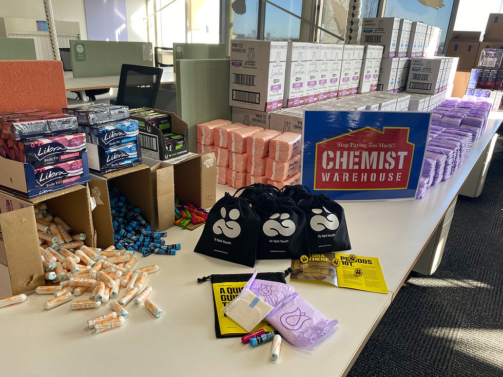 Period Information Kit with an information booklet and a selection of pads, tampons and panty liners arranged beside it.