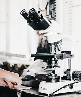 Screen Shot 2022-08-03 at 3.31.22 AM.png