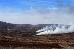 Wild Fires - What Should I Do?