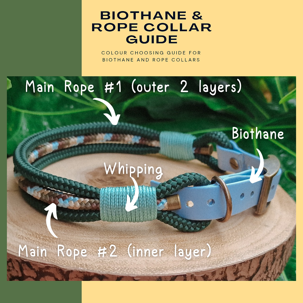 Thumbnail: Remote Collar Strap