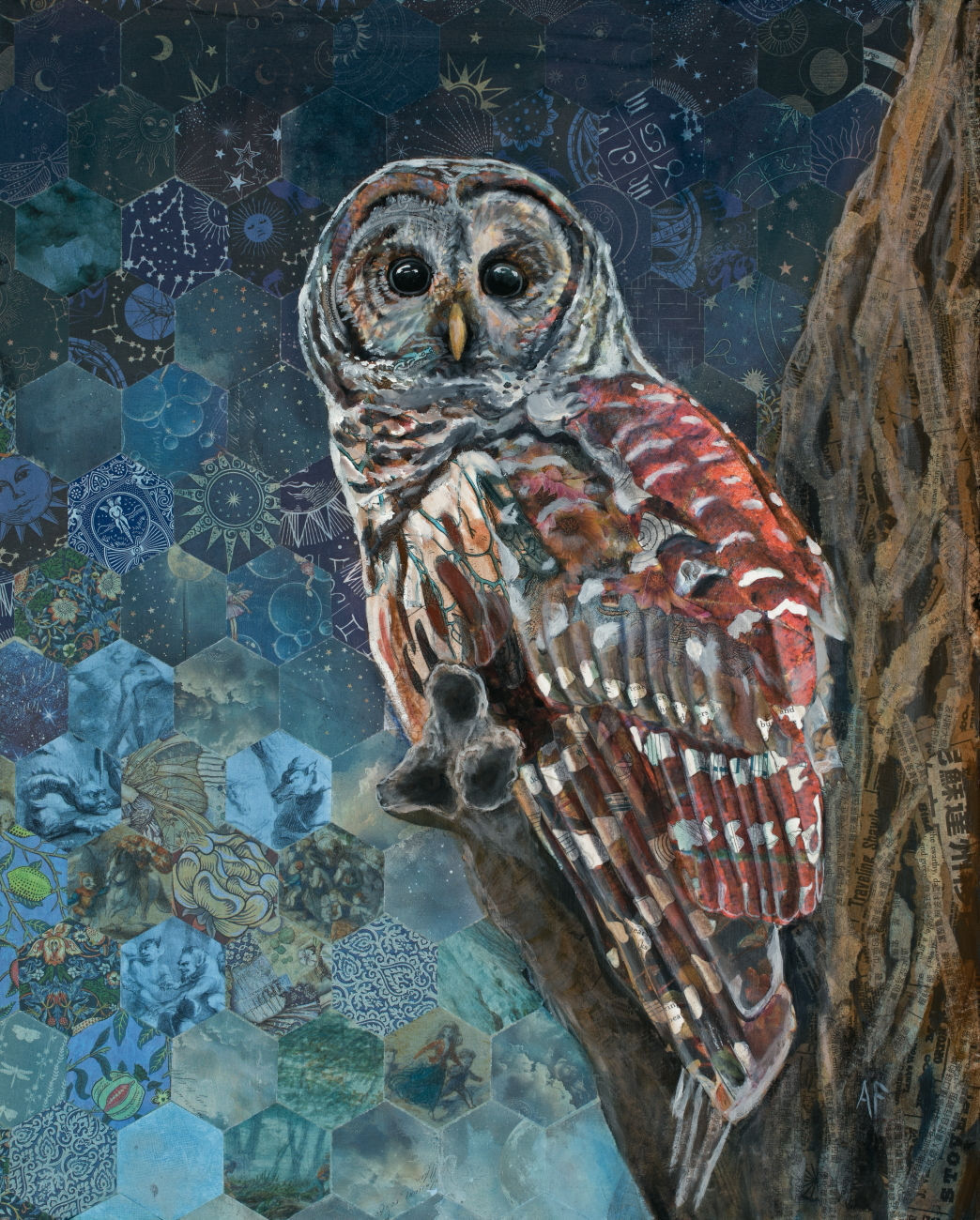 Barred Owl