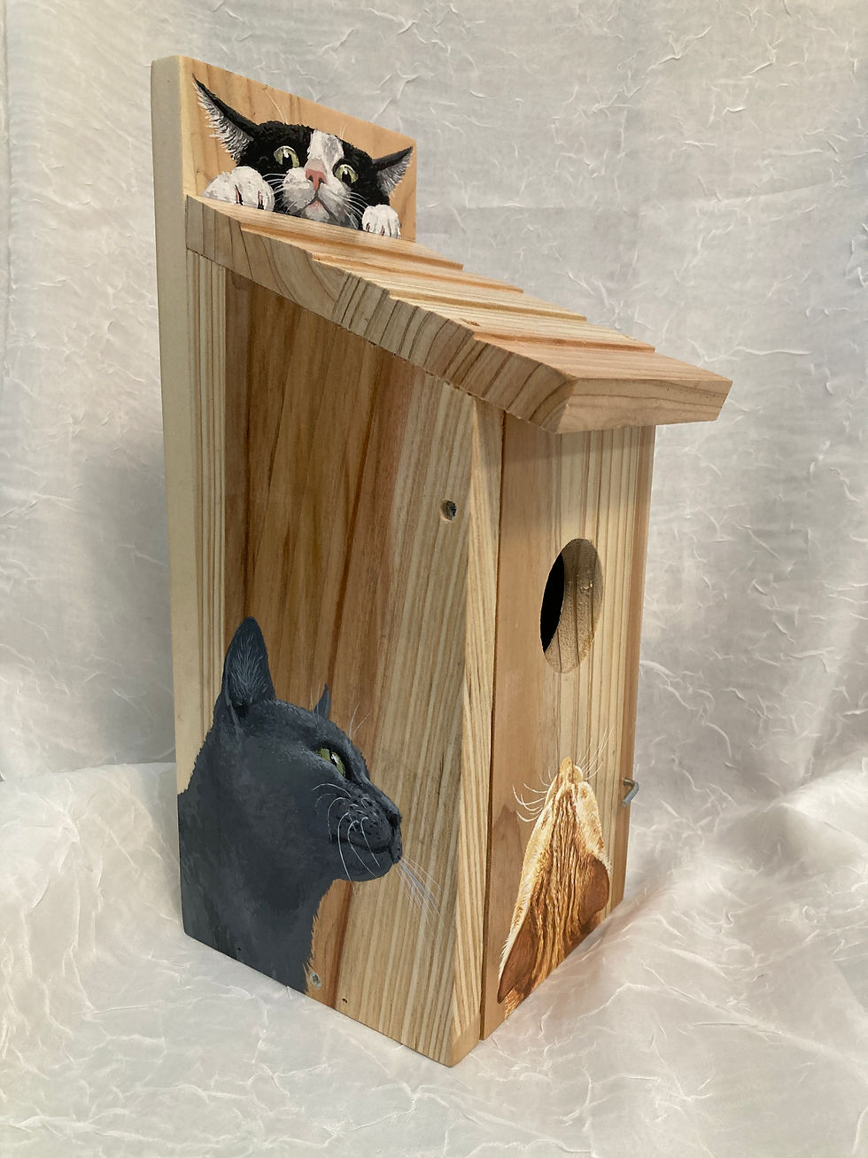 Thumbnail: Refuge