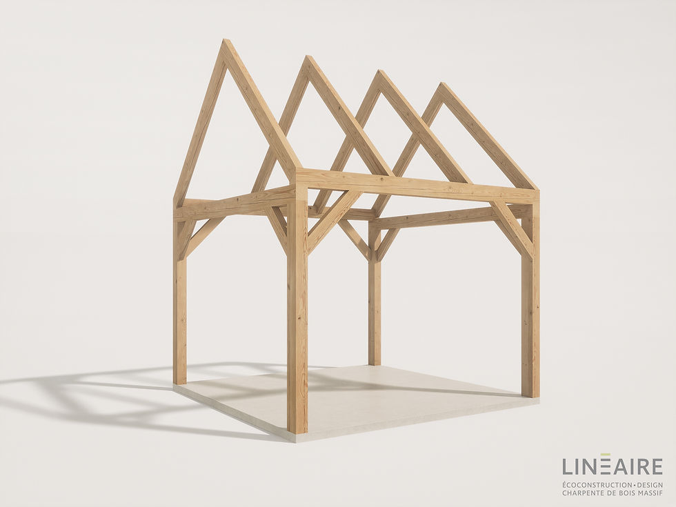 Miniature : Kit Charpente K001 - Dimensions variables