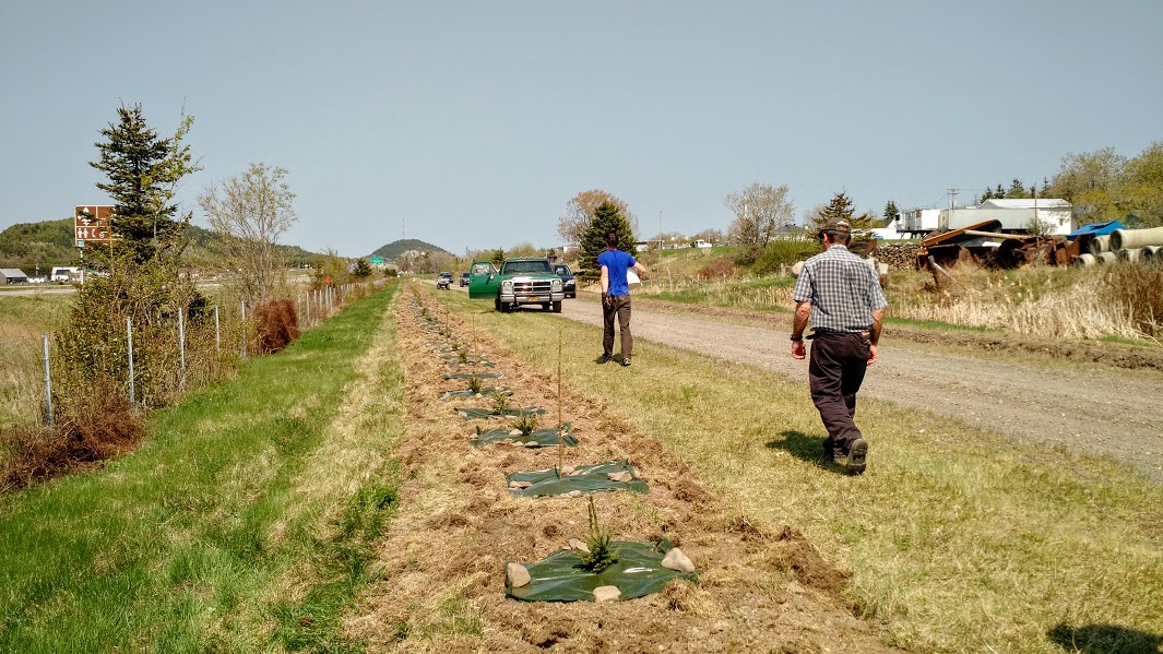 StPhilippedeNéri ARBREÉVOLUTION
