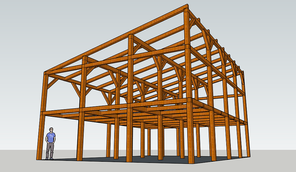 30'x42' Mono-pente
