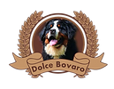 logo-dolce-bovaro.png