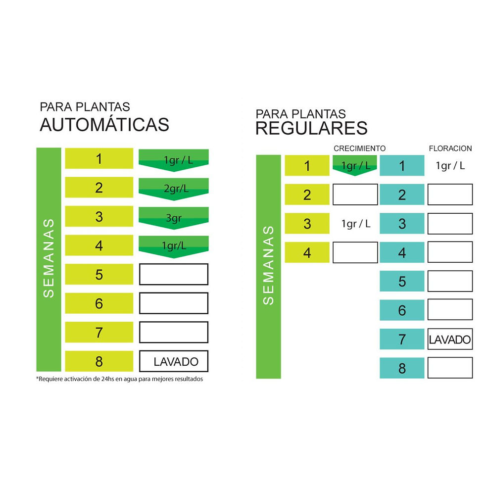 Miniatura: Namaste Amazonia 300 gramos