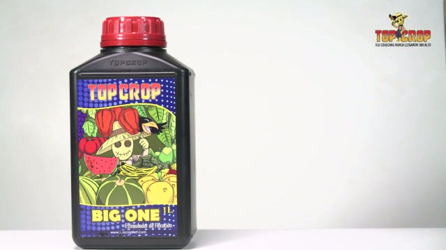 Miniatura: Fertilizante Top Crop Big One 250 ml