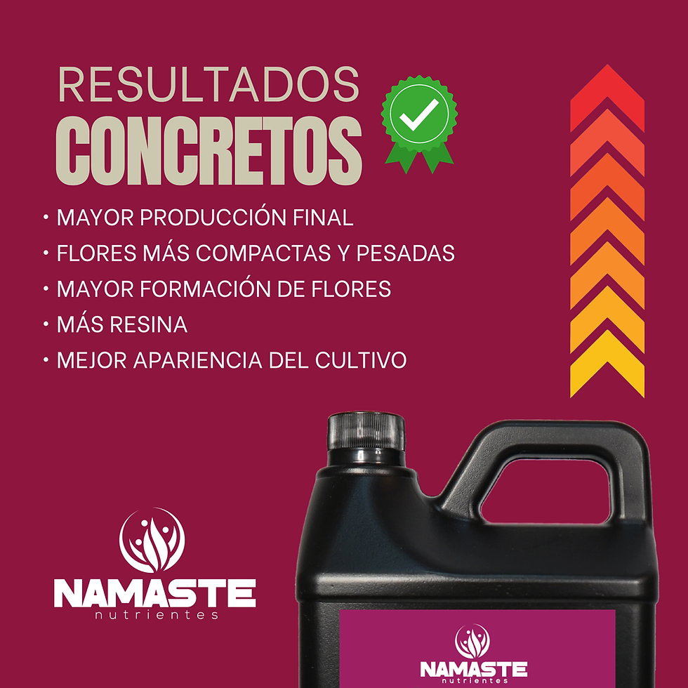 Miniatura: Namaste Flora Booster 2 Litros
