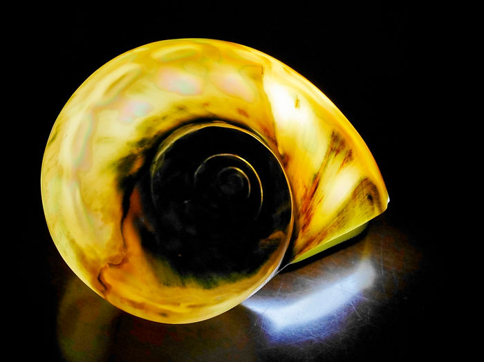 ooshimizu06 (1280x961).jpg