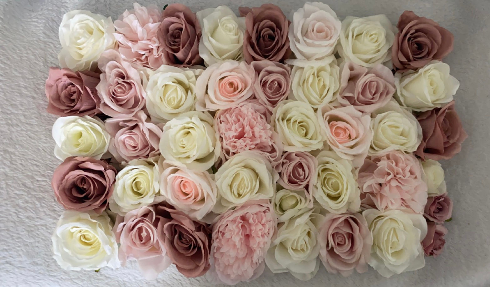 All The Pinks Backdrop