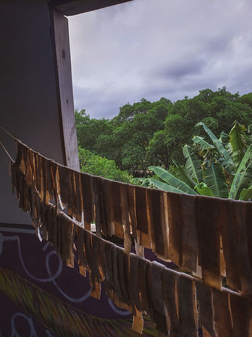 20211123_163334.jpg