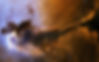 357806.jpg