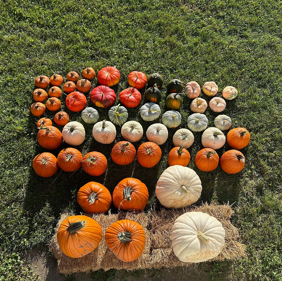 Thumbnail: Package #1 - Grand Harvest