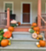 Thumbnail: Package #4 Petite Patch