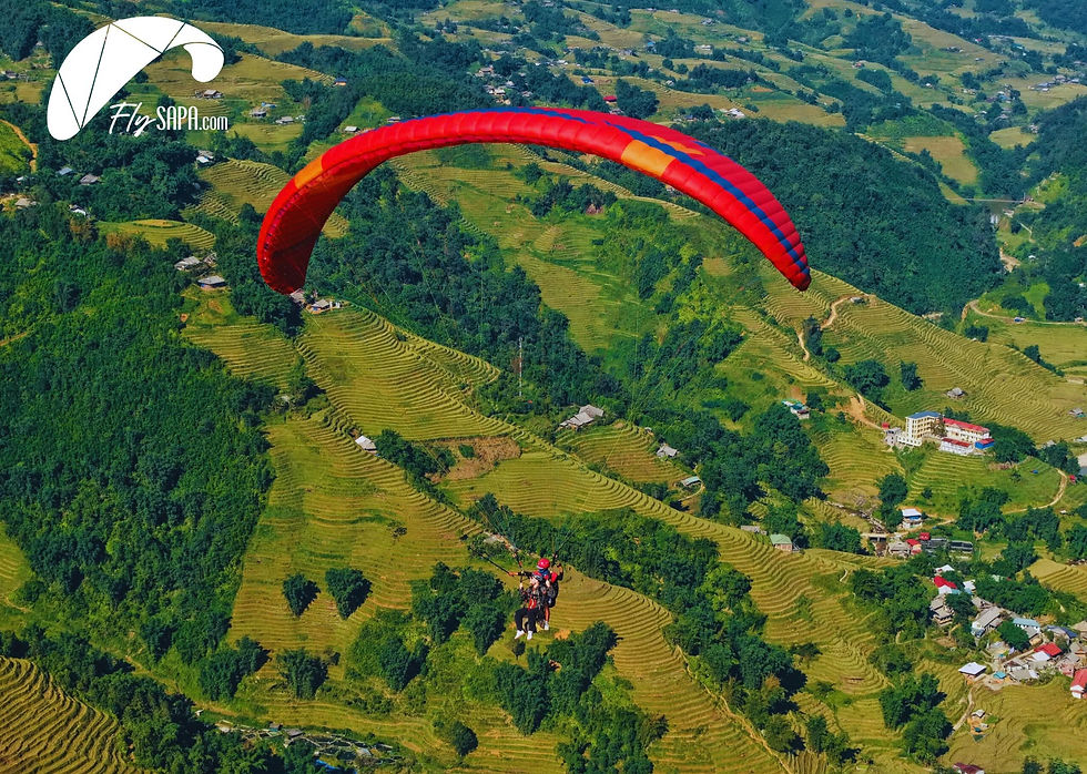 Bay trên lúa vàng Mường Hoa, điểm bay Hàm Rồng, Sa Pa. Ảnh FlySapa