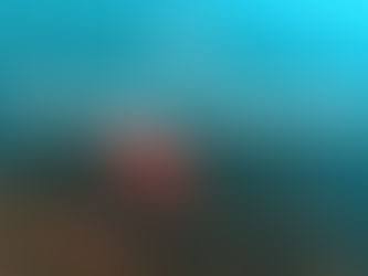 Review Điểm bay Dù lượn Tam Đảo