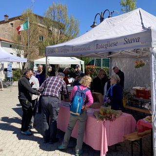 10° MERCATINO DI PRIMAVERA A ROTEGLIA